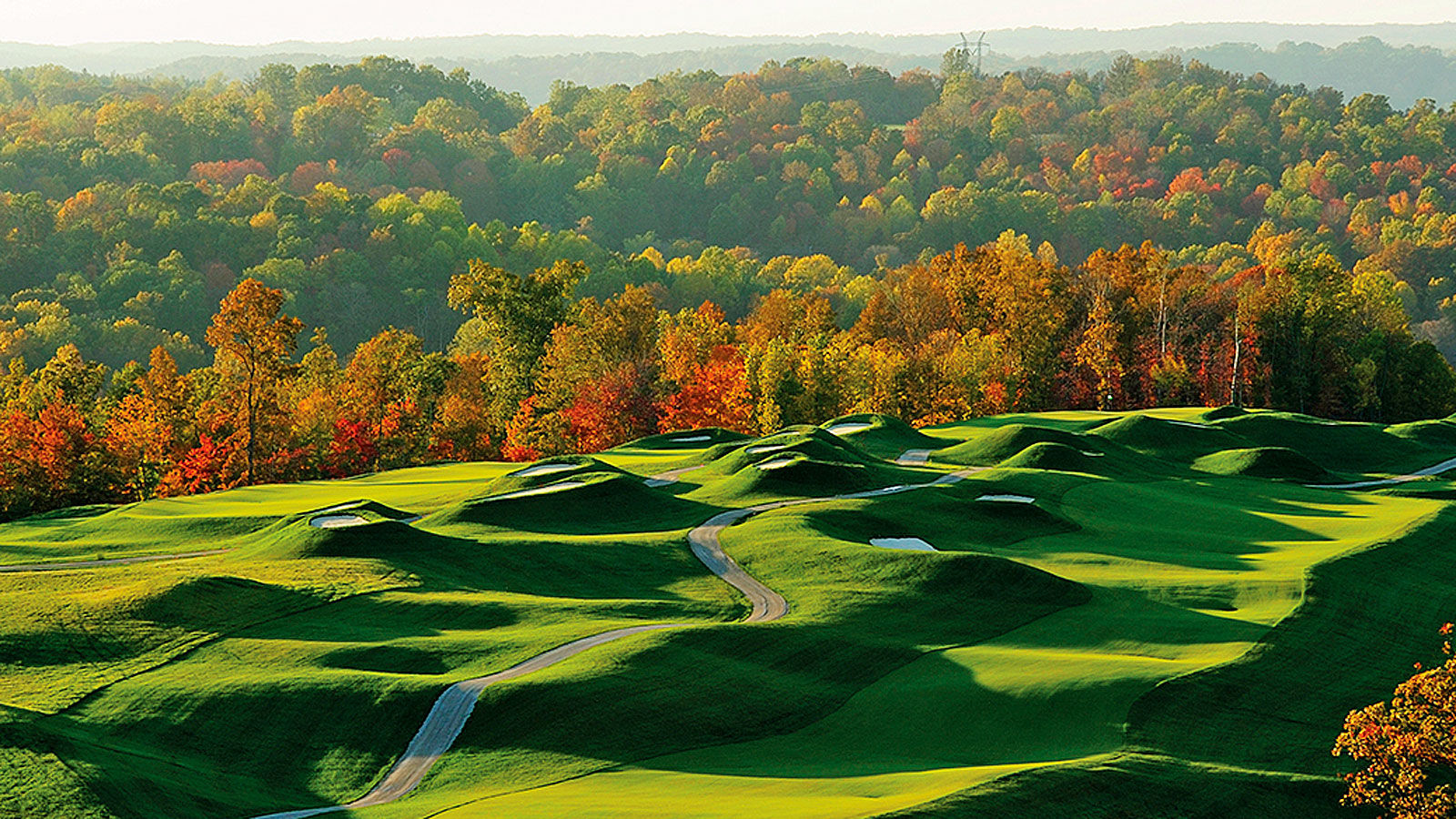 frenchlick_dye1.jpg
